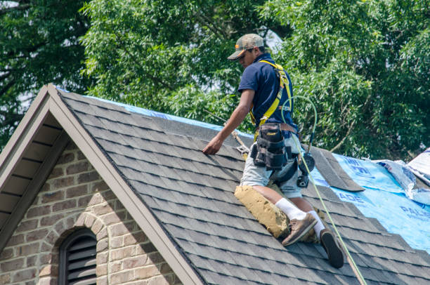 Best Roof Leak Repair  in Clinton, OH